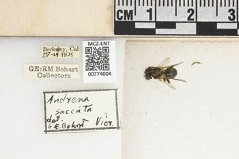 Media type: image;   Entomology 774004 Aspect: Labels
